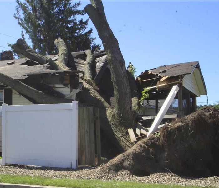tree fallen on a house from storm damage 