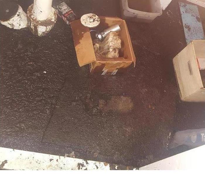 sewage backed up on a basement floor with belongings on it