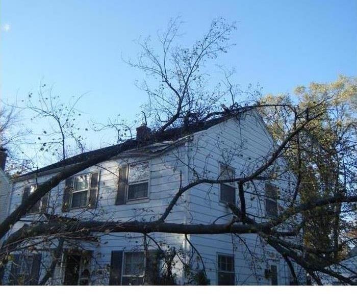 fallen tree on a house 