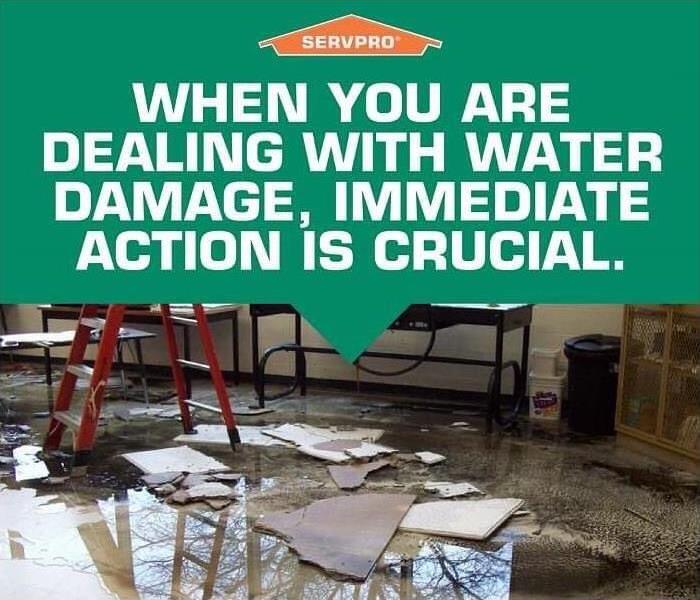 When you are dealing with water damage action is crucial