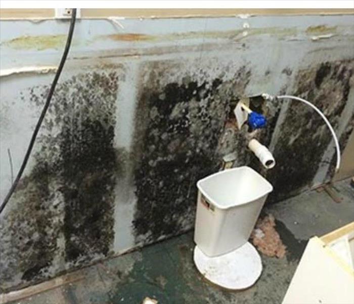 mold covered wall with a trashcan 