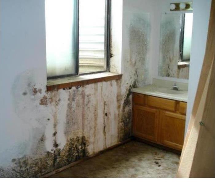 mold covered bathroom wall 